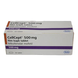 Cellcept 500mg 50 Tablet
